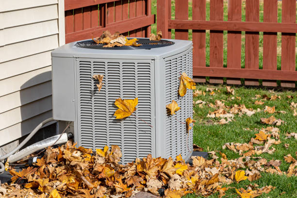 Best Furnace Cleaning in Broxton, GA