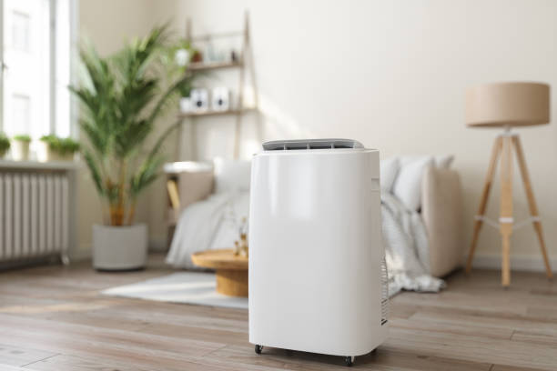 Best Ductless Mini-Split Systems in Broxton, GA